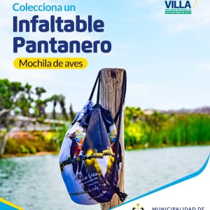 Producto 001