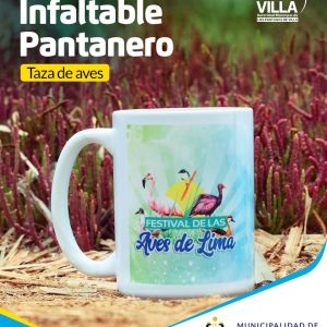 Producto 003