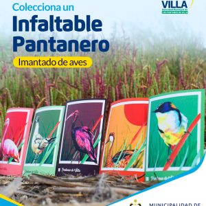 Producto 002