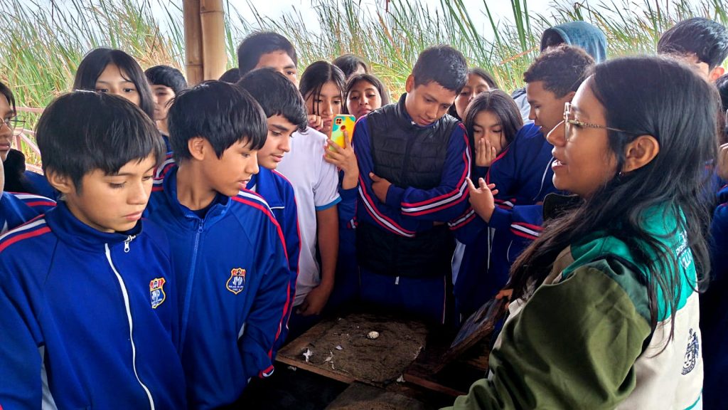 FINAL1-webinar-humedales-humedal-pantanos-de-villa-educacion-ambiental-chorrillos-lima-fotor-20250612124422